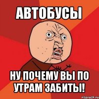 автобусы ну почему вы по утрам забиты!