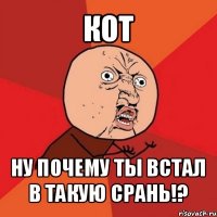 кот ну почему ты встал в такую срань!?