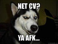 Net CV? Ya afk...