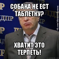 собака не ест таблетку? хватит это терпеть!