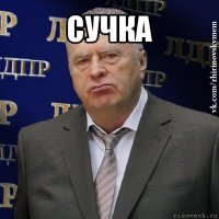 сучка 