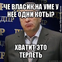 че власик,на уме у нее одни коты? хватит это терпеть