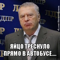  яйцо треснуло прямо в автобусе....