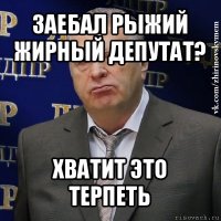 заебал рыжий жирный депутат? хватит это терпеть