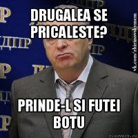 drugalea se pricaleste? prinde-l si futei botu