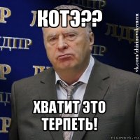 котэ?? хватит это терпеть!