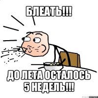 блеать!!! до лета осталось 5 недель!!!