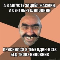 а в августе зацвёл жасмин, а сентябре шиповник приснился я тебе один-всех бед твоих виновник