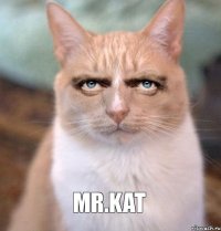 Mr.Kat