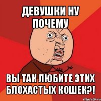 девушки ну почему вы так любите этих блохастых кошек?!