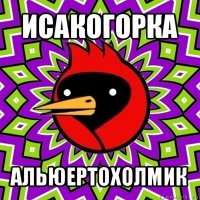 исакогорка альюертохолмик