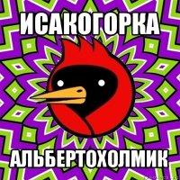 исакогорка альбертохолмик