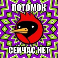 потомок сейчас нет