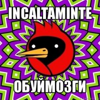 incaltaminte обуймозги