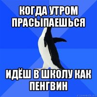 когда утром прасыпаешься идёш в школу как пенгвин