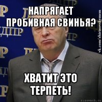 напрягает пробивная свинья? хватит это терпеть!