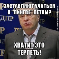 заставляют учиться в "лингве" летом? хватит это терпеть!