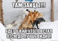 там зайцы!!! где? о я на чтото встал отсюдо лучше видно!