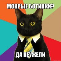 мокрые ботинки? да неужели