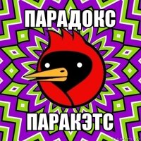 парадокс паракэтс