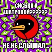 сиськи у шатровой??? не,не слышал...