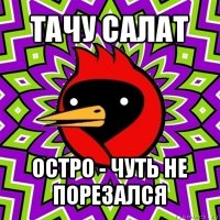 тачу салат остро - чуть не порезался