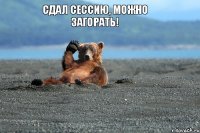 Сдал сессию, можно загорать!