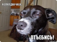 я спал два часа... ОТЪЕБИСЬ!