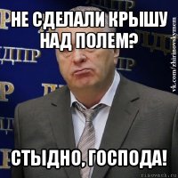 не сделали крышу над полем? стыдно, господа!