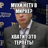 мухи нету в мирке? хватит это терпеть!