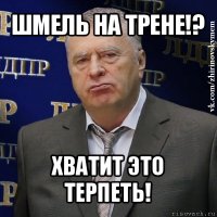 шмель на трене!? хватит это терпеть!