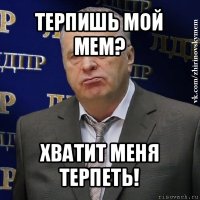 терпишь мой мем? хватит меня терпеть!