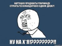 Картошку продавать?!пирамиду строить?!в командировку одним днем?! ну на Х*я!???!!