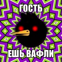 гость ешь вафли