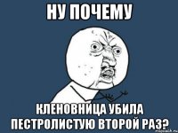 ну почему кленовница убила пестролистую второй раз?