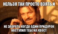 нельзя так просто взять и не заорать когда один придурок наступил тебе на хвост