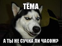 Тёма А ты не сучка ли часом?