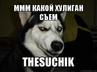 ммм какой хулиган съем TheSuchik