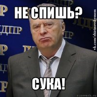 не спишь? сука!