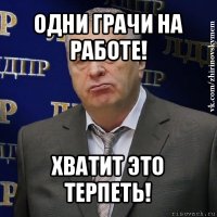 одни грачи на работе! хватит это терпеть!