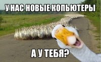 у нас новые копьютеры а у тебя?