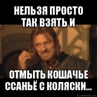 нельзя просто так взять и отмыть кошачье ссаньё с коляски...