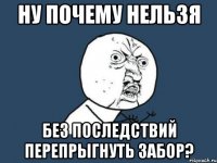 ну почему нельзя без последствий перепрыгнуть забор?