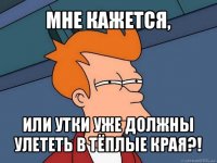 мне кажется, или утки уже должны улететь в тёплые края?!