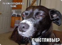 Почему сегодня все такие счастливые?