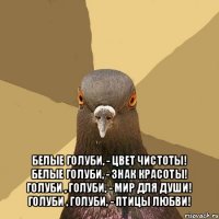  белые голуби, - цвет чистоты!
белые голуби, - знак красоты!
голуби , голуби, - мир для души!
голуби , голуби, - птицы любви!