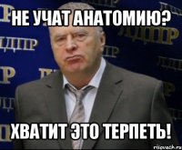 не учат анатомию? хватит это терпеть!