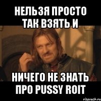 нельзя просто так взять и ничего не знать про pussy roit