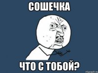 сошечка что с тобой?