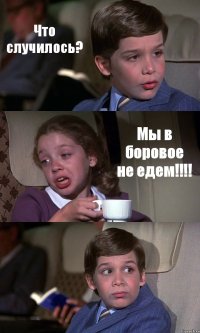 Что случилось? Мы в боровое не едем!!! 